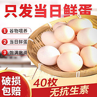 晋龙食品 鸡蛋新鲜鸡蛋(平均单枚45g左右)红心蛋晋龙