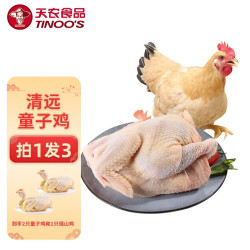 天农 食品 清远童子鸡  600g 买一赠二 共3只鸡