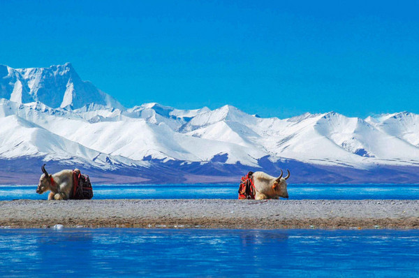 從絲路到雪域！坐著火車縱貫西部大美山河！青海甘肅西藏11天10晚專列旅游（含全程住宿+每日三餐+行中門票+列車管家、醫生等）