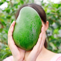 粤云山 四川凯特芒果 净重4.5斤大果(单果约400-600g)