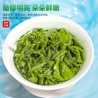 茗杰正宗安溪铁观音兰花香特级浓香型2023新茶茶叶乌龙茶罐装500g