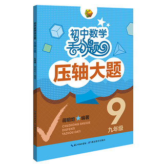 初中数学丢分题 压轴大题 九年级