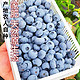 蓝莓 125g*2盒 单颗18mm+（下单4件备注“值得买” 免费赠送1盒再返 3元红包）