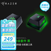 雷蛇（Razer） PBT/ABS键帽升级套件 樱桃配列 双色注塑 游戏机械键盘104透光含拔键器 ABS幽灵键帽 黑色