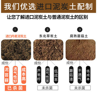 萌萌肉 十合一多肉土5斤