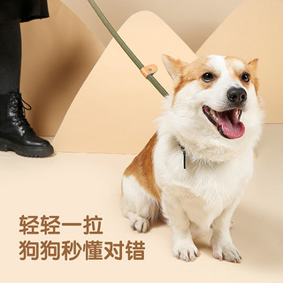 M-PETS MPETS狗狗牵引绳p绳p链狗绳子大中小型犬柯基网红防爆冲遛狗链子