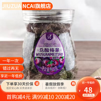 金箭乌酸 梅条乌梅条特产无核乌梅干水果网红休闲零食 金箭乌酸梅条500g一罐