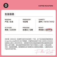 COLIN PLUS TOH 埃塞古吉日晒组NO.1手冲咖啡豆100g