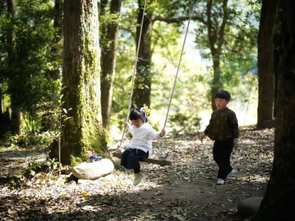 群山深处遗世独立的茶园小院，森里覆盖率达98%！浙江丽水遂昌乐领旗山侠隐庄园 十里桃花大床房2晚连住含早套餐