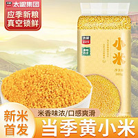 太粮 黄小米月子米油五谷杂粮小米甄选优质产区米油粘稠金黄米粒