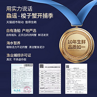 鱻谣 XIAN YAO梭子蟹新鲜特大野生螃蟹海鲜非舟山白蟹兰花蟹