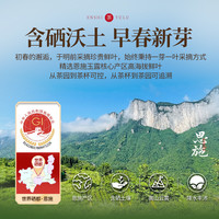 2023年新茶润邦恩施玉露袋装高硒日常办公口粮绿茶