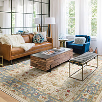 视觉味道 土耳其进口美式欧式地毯客厅现代沙发茶几垫 卧室床边毯