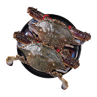 88VIP：XIAN YAO 鱻谣 梭子蟹净重1.5kg 6-10只（3-5两/只）