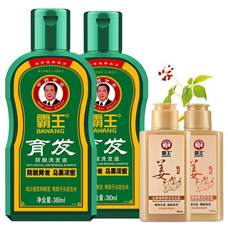 BAWANG 霸王 洗护套装防脱洗发液380ml*2+旅行装80ml*2（控油去屑 强根健发）