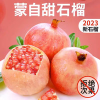 蒙自石榴 云南蒙自甜石榴礼盒装9颗(4.2-4.7斤)