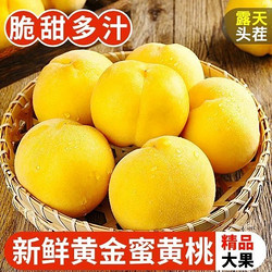 现摘黄桃净重4.7斤单果150g起新鲜水果桃子黄毛桃脆桃软桃