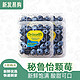 怡颗莓 新鲜秘鲁进口蓝莓 中果125g/盒 6盒