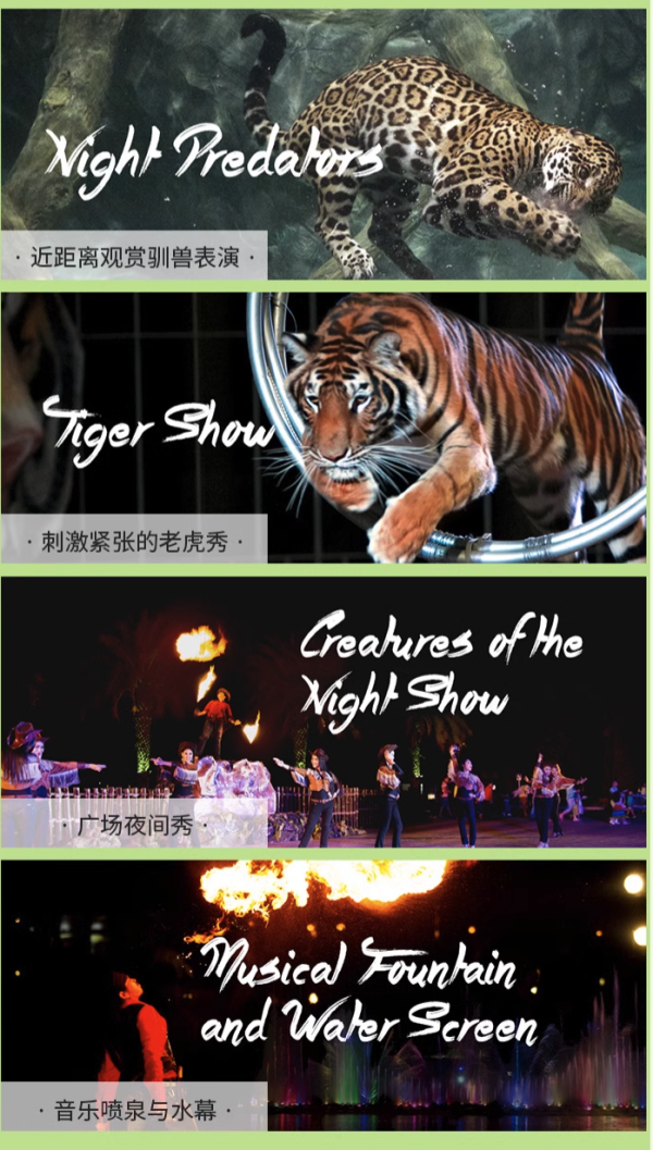 亚洲最大!蹲点昼伏夜出的动物们!泰国清迈夜间动物园门票(含缆车)+酒店接送套餐