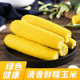 华田禾邦 非转基因 黄糯玉米棒 2根装 净重≥0.4KG 东北新鲜真空黏玉米