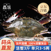 XIAN YAO 鱻谣 海捕梭子蟹 3斤 单只3-4两/只