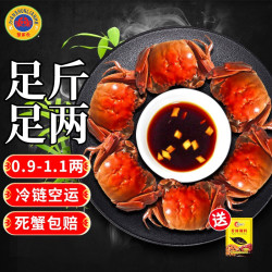 【活蟹】鲜活六月黄螃蟹  0.9-1.1两 20只送2只网兜装+做法教程和香辣包
