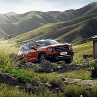 HAVAL 哈弗 大狗 24款 1.5T 两驱边牧版