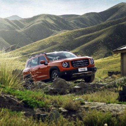 HAVAL 哈弗 大狗 24款 1.5T 两驱拉布拉多版 定金
