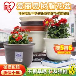 IRIS 爱丽思 树脂花盆