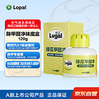 Lvgal 绿瓜 甲醛净120g 新车净味除甲醛 室内除甲醛净味魔盒