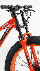 洛维斯 山地车自行车成人越野车沙滩雪地车4.0大轮胎男女式学生变速车