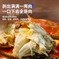 贝司令鲜活发货梭子蟹新鲜螃蟹海鲜水产特大白蟹海蟹包肥 2-4两/只(鲜活发货)