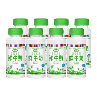 青海湖高原鲜奶230ml*8瓶定期购青藏奶源低温奶巴氏杀菌鲜牛奶生鲜快递 230ml*8瓶