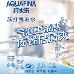 pepsi 百事 纯水乐苏打气泡水原味450ml*12瓶