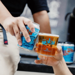 拾捌精酿 跳东湖10周年双倍干投IPA 国产精酿啤酒 330ml