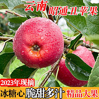 移动专享、移动端：昭通苹果 云南昭通苹果冰糖心丑苹果15枚4-5斤