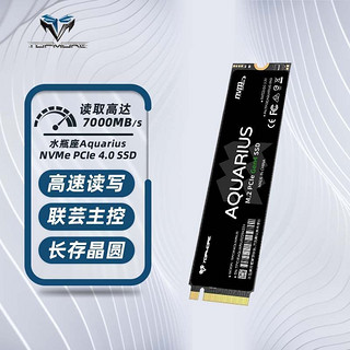 TOPMORE 达墨 水瓶座 AQUARIUS NVMe M.2 固态硬盘 2TB