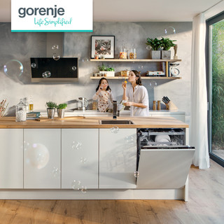 gorenje/古洛尼欧洲进口原装家用全嵌式超大容量洗碗机GV67261CN