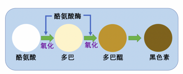 肌肤也会“中暑”！这份夏日护肤消暑指南请收好~