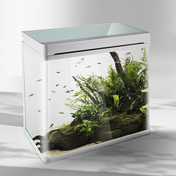 TG 淘歌 鱼缸水族箱免换水桌面鱼缸金鱼缸客厅生态鱼缸客厅小型水草玻璃鱼缸 白色T30（30.6*21.3*35cm）