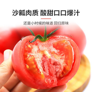 绿行者（GREER）桃太郎粉番茄 品牌果 西红柿 沙瓤自然熟 当季新鲜酸甜水果蔬菜 粉番茄品牌果2.5kg