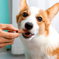 疯狂小狗狗零食磨牙棒幼犬咬胶小型犬泰迪比熊宠物洁齿骨头