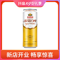 抖音超值购：燕京啤酒 12度原浆白啤500ml×1听口德式白啤感浓郁泡沫细腻