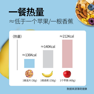 德富祥酸奶果粒麦片早餐即食代餐饱腹食品冲饮水果坚果谷物燕麦片 袋装 350g水果缤纷麦片*2袋