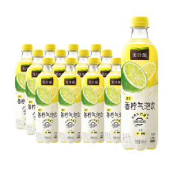 Fanta 芬达 美汁源 多汁香柠气泡水 0糖0卡 480ML*12瓶