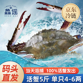 XIAN YAO 鱻谣 鲜活梭子蟹5斤/7-10只 单只5-7两 100%鲜活发出 去绳足重海螃蟹保鲜不保活