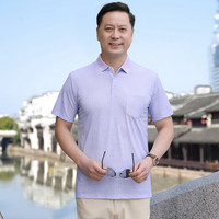 ROMON 罗蒙 2023中年男士爸爸夏装短袖T恤中老年男冰丝POLO衫