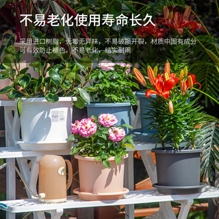 爱丽思树脂控根加仑盆爱丽丝deepot圆口绿萝绣球蔷薇月季塑料花盆（5号白色（单花盆）、中等）