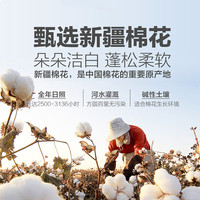 LOVO 乐蜗家纺 新疆棉棉花被子夏被春秋被全棉棉被被芯棉絮