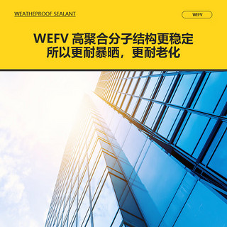 WEFV 维芙 中性耐候结构胶